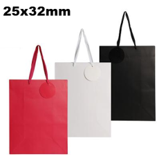 Large Solid Colour Gift Bag - 25 x 32cm